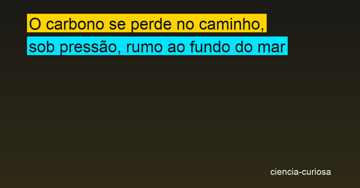 Pressão das profundezas faz partículas marinhas “vazarem” carbono antes de chegar ao fundo