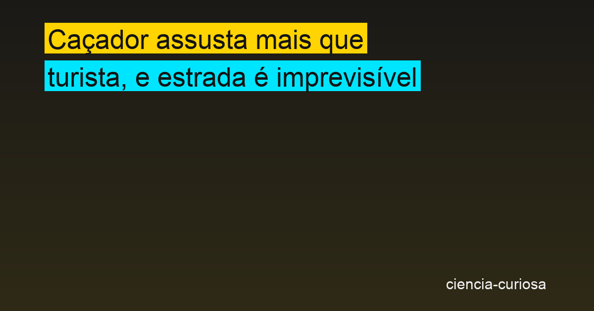 Nem todo humano assusta igual: o que 30 anos de dados dizem sobre medo animal